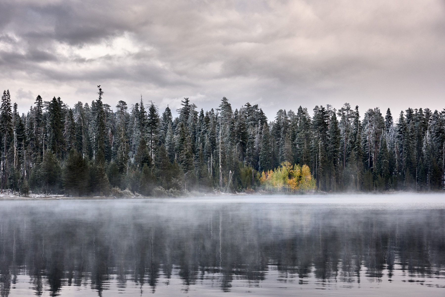 Laurel Lake